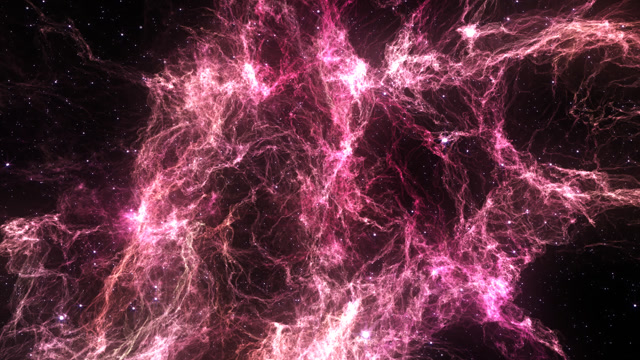 Anima AI alternatives comparison